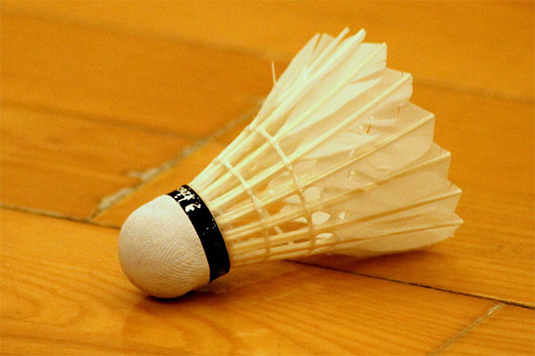 羽毛球館木地板 羽毛球館木地板