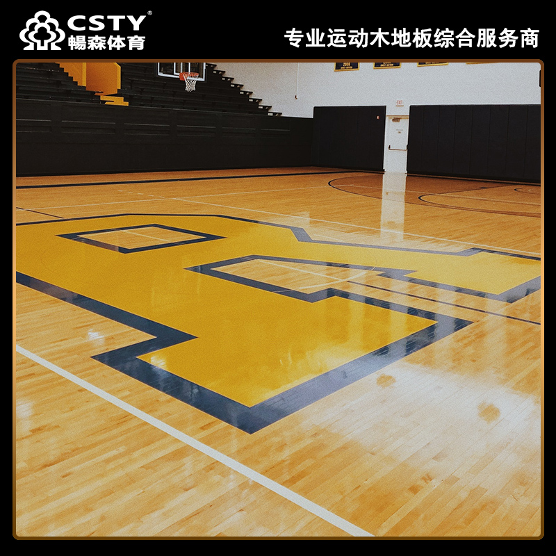 專業(yè)運(yùn)動木地板 專業(yè)運(yùn)動木地板